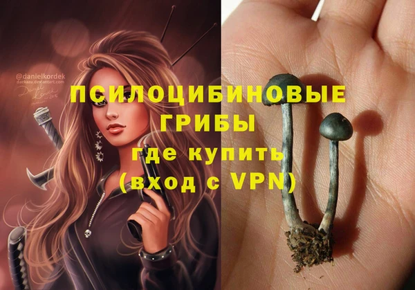mdpv Балахна