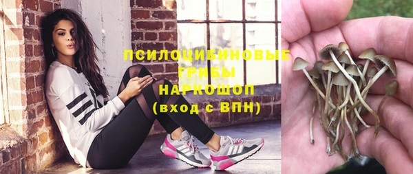 mdpv Балахна