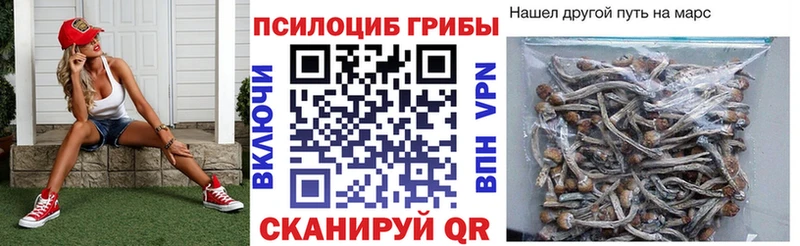 Галлюциногенные грибы MAGIC MUSHROOMS дарнет шоп Салаир